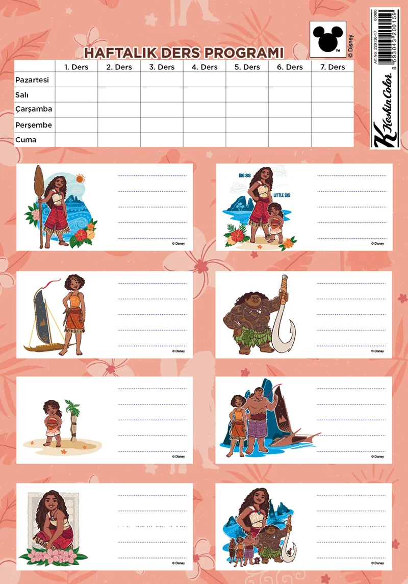KESKİN ETİKET DERS PROGRAMLI 3 LÜ MOANA 220130-17