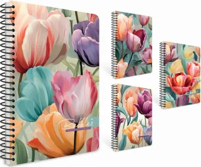 GIPTA DEFTER BUBBLE BOOK 17x24 SPİRALLİ SERT KAPAK 100 YP ÇİZGİLİ 7427