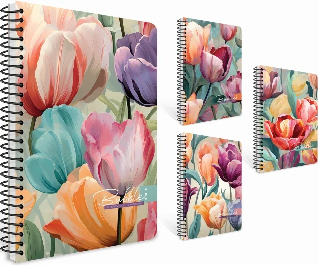 GIPTA DEFTER BUBBLE BOOK 17x24 SPİRALLİ SERT KAPAK 100 YP ÇİZGİLİ 7427