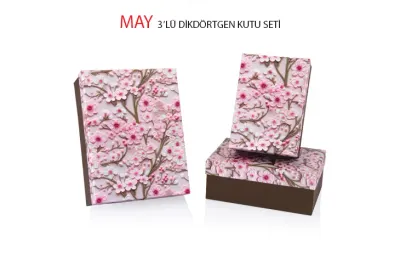 GIPTA KUTU SETİ MAY 3 LÜ DİKDÖRTGEN BX27890