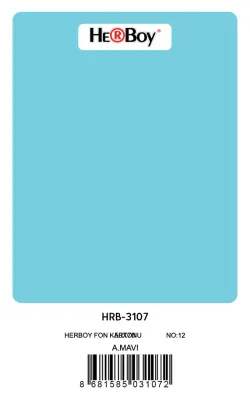 HERBOY FON KARTONU 50x70 AÇIK MAVİ NO:12 160 GR 100 LÜ HRB-3107 (Best)