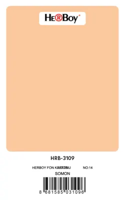 HERBOY FON KARTONU 50x70 SOMON NO:14 160 GR 100 LÜ HRB-3109 (Best)