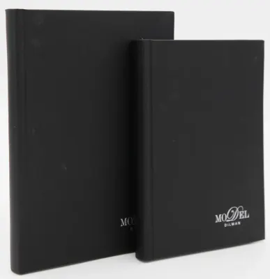 DİLMAN DEFTER MODELİST CİLTLİ SERT KAPAK 17x24 160 YP KARELİ 6015