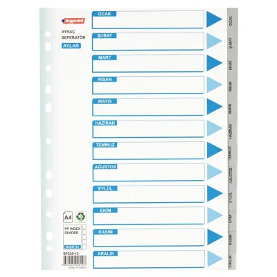 Bigpoint PP Seperatör Aylar