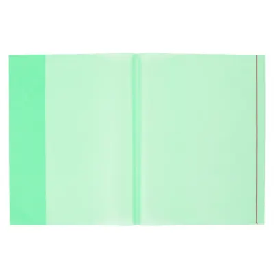 Bigpoint A4 Hazır Defter Kabı 5'li Paket Şeffaf Yeşil