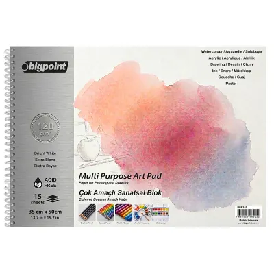 Bigpoint Sanatsal Resim Defteri 120 Gram 35x50cm - 15 Yaprak