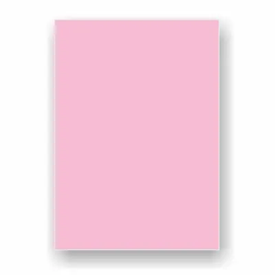 ADEL 50x70 160 gr PEMBE FON KARTONU 2022 100 LÜ