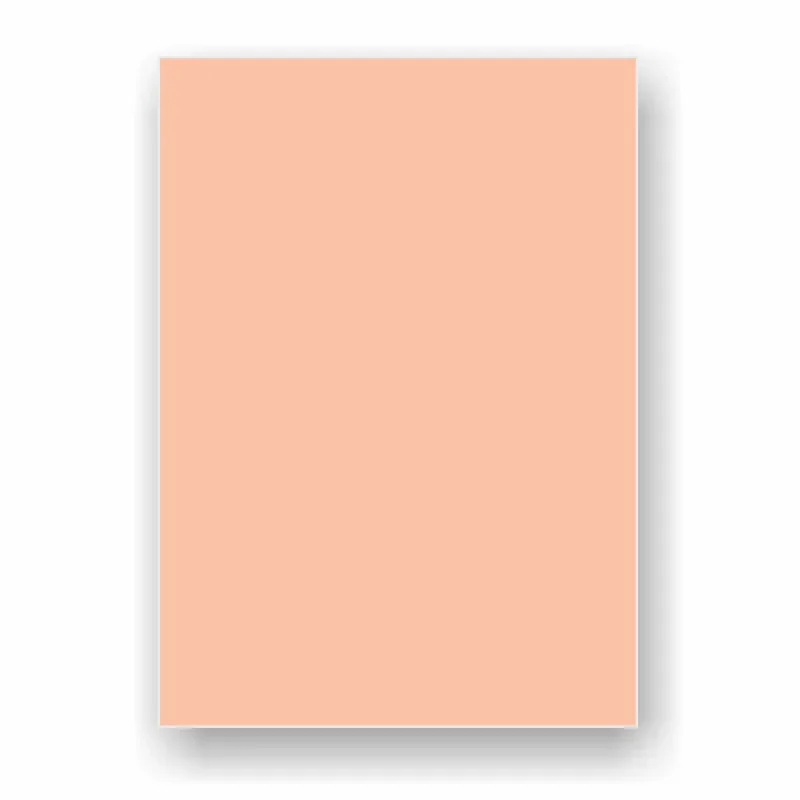 ADEL 50x70 160 gr SOMON FON KARTONU 2020 100 LÜ