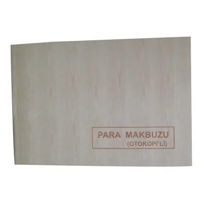 DİLMAN PARA MAKBUZU 2/50 2 N OTOKOPİLİ