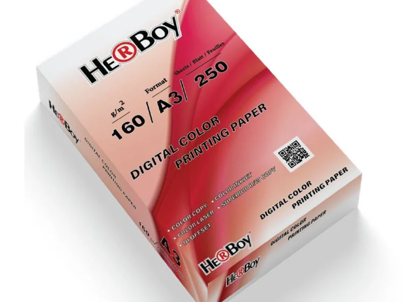 HERBOY FOTOKOPİ KAĞIDI A3-160gr 250'Lİ/3