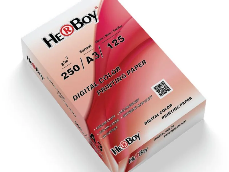 HERBOY FOTOKOPİ KAĞIDI A3-250gr 125'Lİ/4