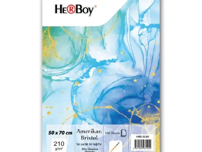 HERBOY AMERİKAN BRİSTOL KARTONU 50x70 210g 100 AD.