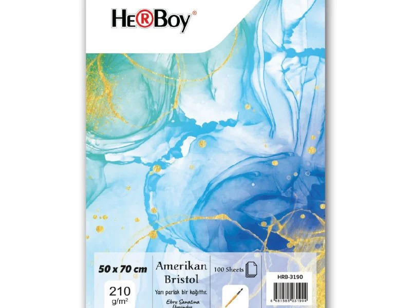 HERBOY AMERİKAN BRİSTOL KARTONU 50x70 210g 100 AD.