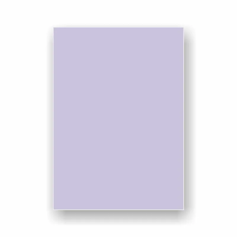 Iq Fon Kartonu Lavanta 50X70 160 Gr 100 Lü La12
