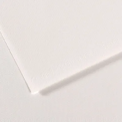 Canson Fon Kartonu (Dokulu) Mı-Teıntes 50x65 160 GR Whıt 335