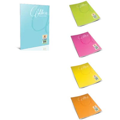 Gıpta Defter (Dikişli ) Mica Plastik Kapak Kareli 40 YP A4 1703