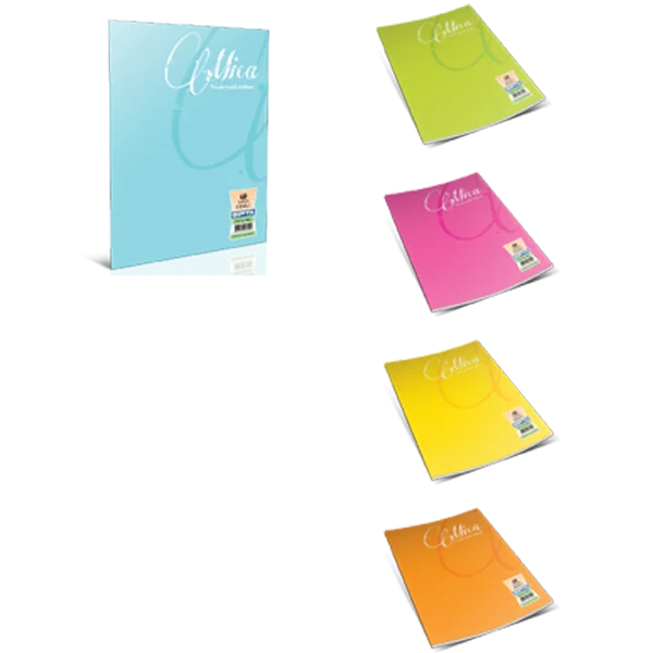 Gıpta Defter (Dikişli ) Mica Plastik Kapak Kareli 60 YP A5 1712