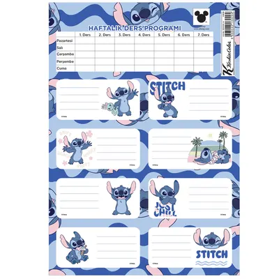 Lilo&stitch Ders Programlı 3lü Etiket