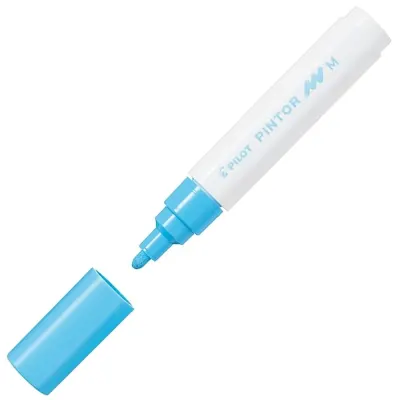 Pilot Pintor (M) Pastel Mavi Sw-pt-m-pl