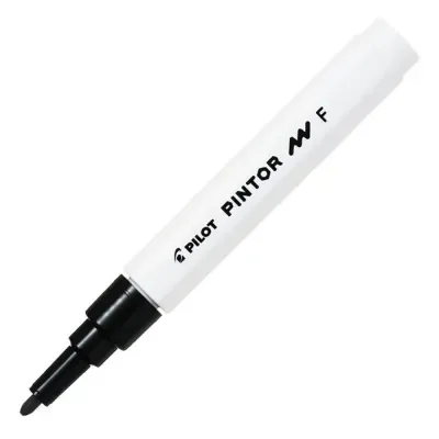 Pilot Pintor (F) Siyah Sw-pt-f-b