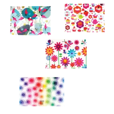 Globox Çıtçıtlı Dosya CD Bölmeli 6671