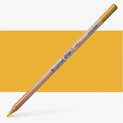 Bruynzeel Design Colour Gold Pencils