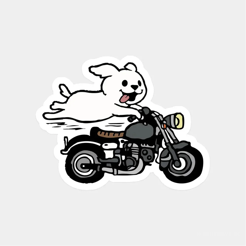 Ekstrafix The Sticker Story Tss0099