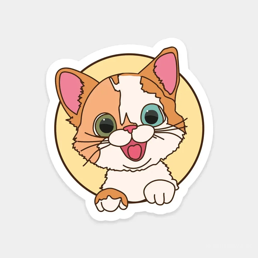 Ekstrafix The Sticker Story Tss0178