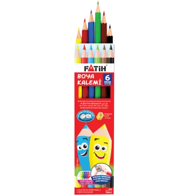 Fatih Kuru Boya Karton Kutu Tam Boy 6 Renk 33106