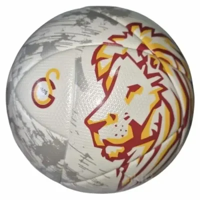 Galatasaray Futbol Topu Velocity No:5*12 720646