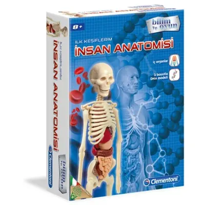 Clementoni İlk Keşiflerim (İnsan Anatomisi) 64297