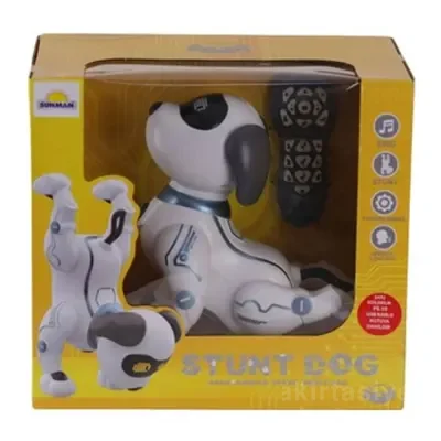 Sunman Robot Akrobat Köpek F/f Sesli 3.7V.usb Sun-s00005136